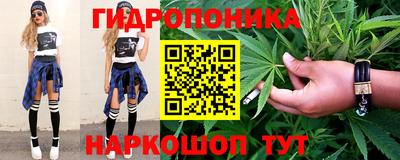 крисы Будённовск